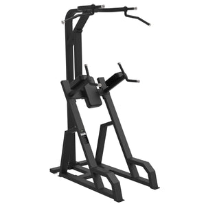 Primal Strength Commercial Chin-Up Dip Frame